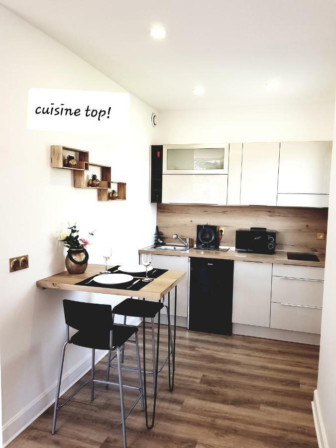 Francois 1Er Au Manoir Apartment เกรอน็อบล์ ห้อง รูปภาพ